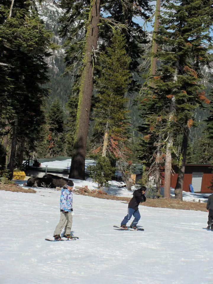 Kids learning to snowboard